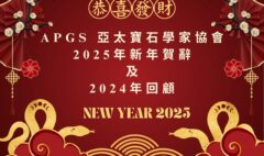 APGS 年度回顧 2025