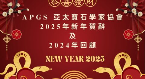 APGS 年度回顧 2025