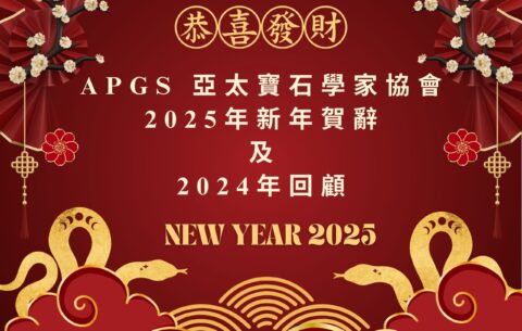 APGS 年度回顧 2025