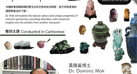 thumbnail_392d6794-8f0e-4641-aab9-9b22f2709af6